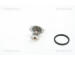 Termostat, chladivo TRISCAN 8620 6888
