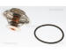 Termostat, chladivo TRISCAN 8620 7082
