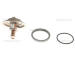 Termostat, chladivo TRISCAN 8620 7782