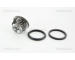 Termostat, chladivo TRISCAN 8620 7982