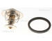 Termostat, chladivo TRISCAN 8620 9488