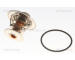Termostat, chladivo TRISCAN 8620 9688