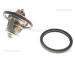 Termostat, chladivo TRISCAN 8620 9982