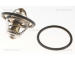Termostat, chladivo TRISCAN 8620 9991
