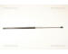 Pneumaticka pruzina, kapota motoru TRISCAN 8710 24106