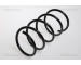 Pružina podvozku TRISCAN 8750 2555
