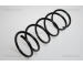 Pružina podvozku TRISCAN 8750 2860
