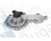 Vodní čerpadlo, chlazení motoru BUGATTI PA10299
