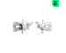 Brzdový třmen OPTIMAL BC-2556L