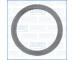 Těsnicí kroužek, výfuková trubka AJUSA 19002200