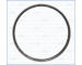Těsnicí kroužek, výfuková trubka AJUSA 19006300