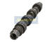 Vačkový hřídel JAPANPARTS AA-DW001