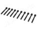 Sada skrutiek hlavy valcov JAPANPARTS BL-204