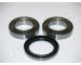 Sada ložisek kol JAPANPARTS KK-18001