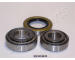 Sada ložisek kol JAPANPARTS KK-20060