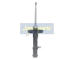 Tlumič pérování JAPANPARTS MM-00346