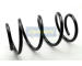 Pružina podvozku JAPANPARTS ZC3352A