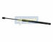 Pneumatická prużina, Batożinový/nákladný priestor JAPANPARTS ZS03001