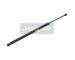 Pneumatická pružina, zavazadlový / nákladový prostor JAPANPARTS ZS06113