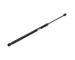 Pneumatická prużina, Batożinový/nákladný priestor JAPANPARTS ZS09248
