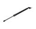 Pneumatická prużina, Batożinový/nákladný priestor JAPANPARTS ZS30023