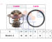 Termostat, chladivo FACET 7.7934