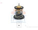 Termostat, chladivo FACET 7.7964S