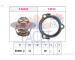 Termostat, chladivo FACET 7.8234