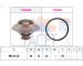 Termostat, chladivo FACET 7.8326