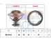 Termostat, chladivo FACET 7.8496
