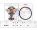 Termostat, chladivo FACET 7.8553