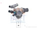 Termostat, chladivo FACET 7.8572