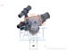 Termostat, chladivo FACET 7.8582