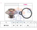 Termostat, chladivo FACET 7.8613