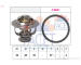 Termostat, chladivo FACET 7.8828