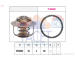 Termostat, chladivo FACET 7.8949
