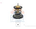 Termostat, chladivo FACET 7.8965S