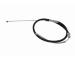 Tažné lanko, parkovací brzda VAICO V95-30015