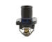 Termostat, chladivo GK 701248