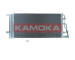 Brzdový kotouč KAMOKA 103044