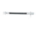 Brzdová hadice KAVO PARTS BBH-9253