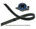 ozubení,sada rozvodového řemene KAVO PARTS DKT-4536