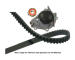 Vodni pumpa + sada ozubeneho remene KAVO PARTS DKW-6509