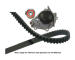 Vodni pumpa + sada ozubeneho remene KAVO PARTS DKW-6510
