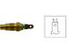 Snímač teploty chladiacej kvapaliny KAVO PARTS ECT-6506