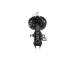 Tlmič pérovania KAVO PARTS SSA-10849