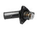 Termostat, chladivo KAVO PARTS TH-9023