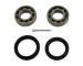 Sada ložisek kol KAVO PARTS WBK-8009