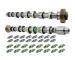 Sada vačkového hřídele Schaeffler INA 428 0059 30