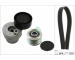 Sada žebrovaných klínových řemenů Schaeffler INA 529 0009 21